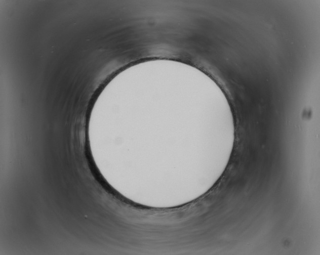 X0000101690011200808071145