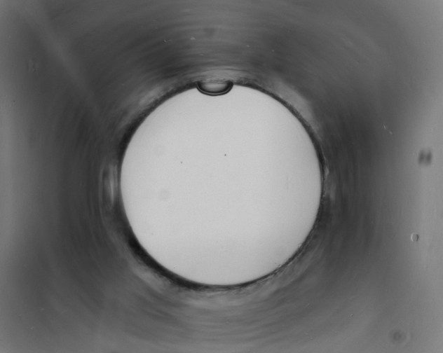 X0000101690013200808071145