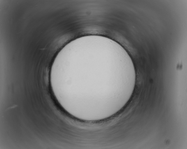 X0000101690014200808071145