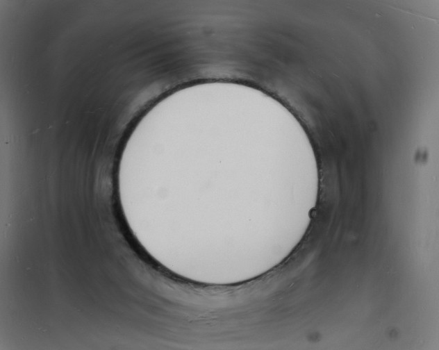 X0000101690015200808071145