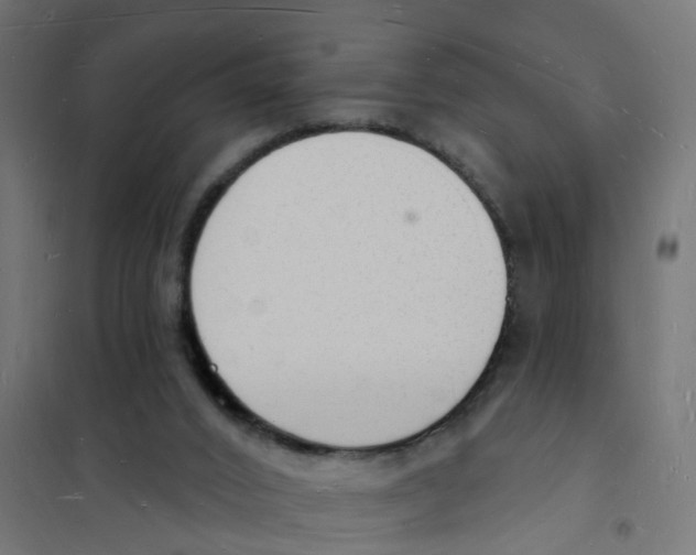 X0000101690016200808071145