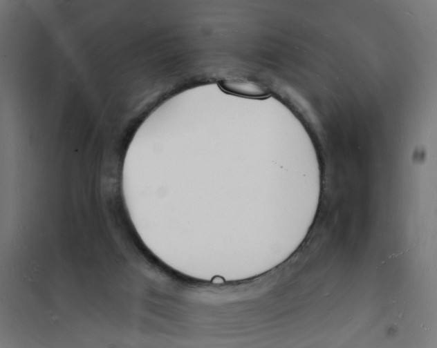 X0000101690017200808071145