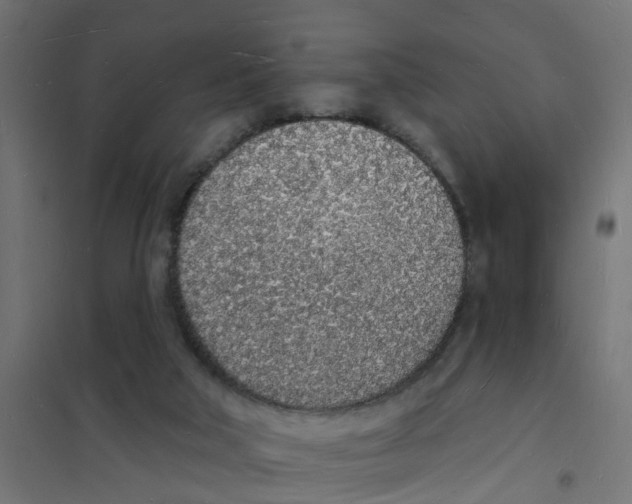 X0000101690018200808071145