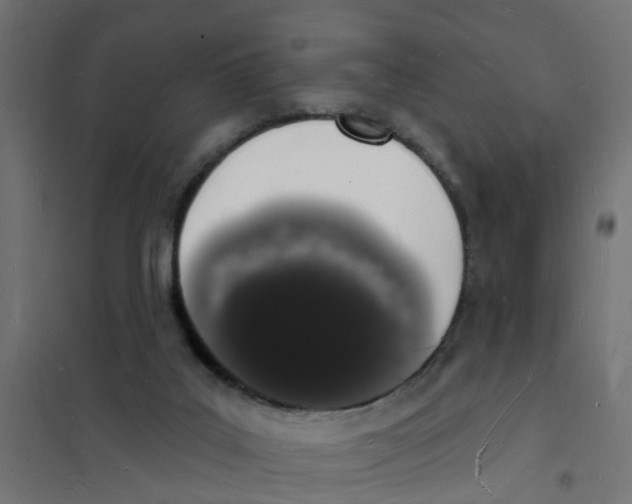 X0000101690019200808071145