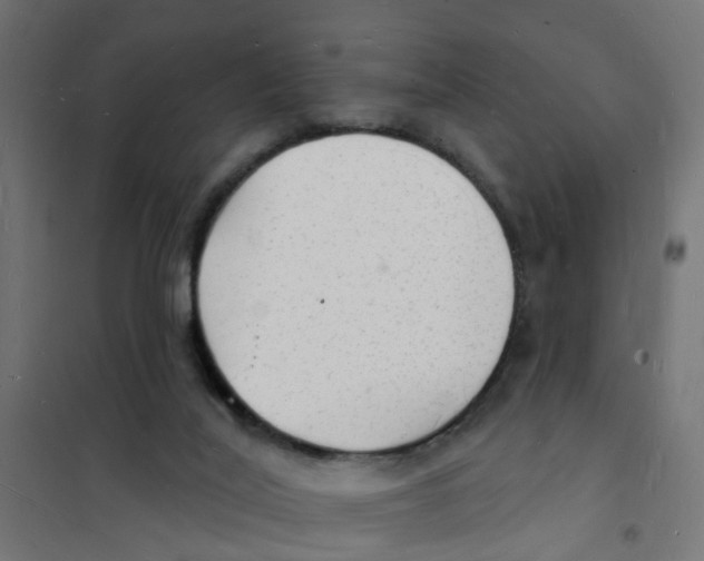 X0000101690020200808071145