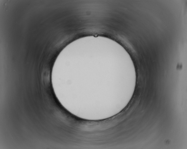 X0000101690021200808071145