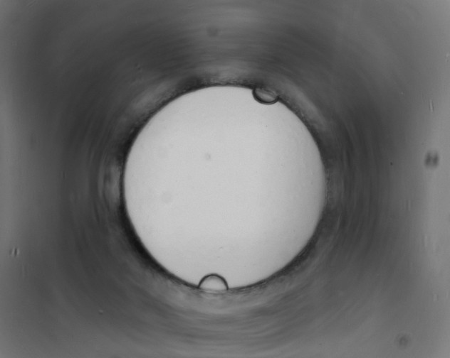 X0000101690022200808071145