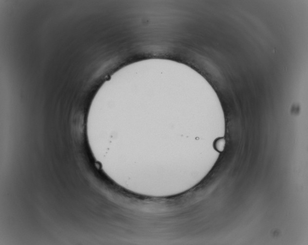 X0000101690024200808071145