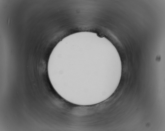 X0000101690025200808071145