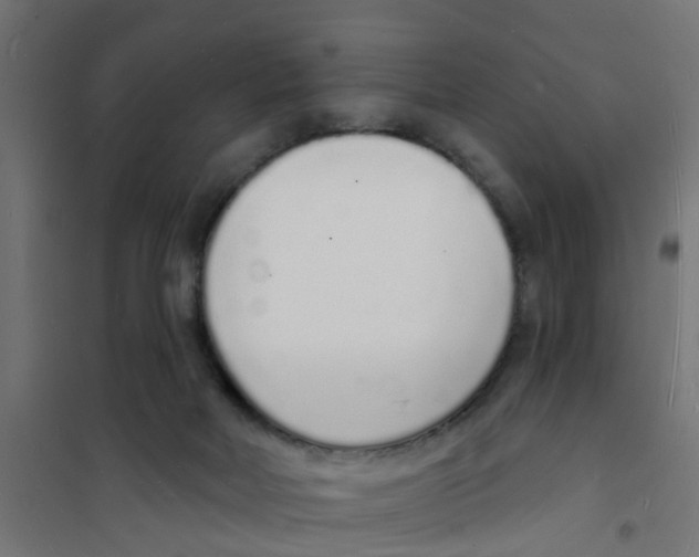 X0000101690026200808071145