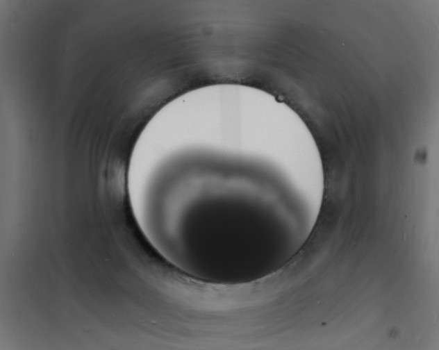 X0000101690027200808071145