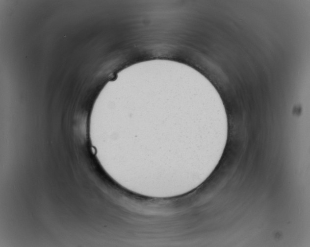 X0000101690028200808071145