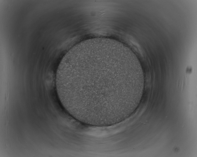 X0000101690029200808071145