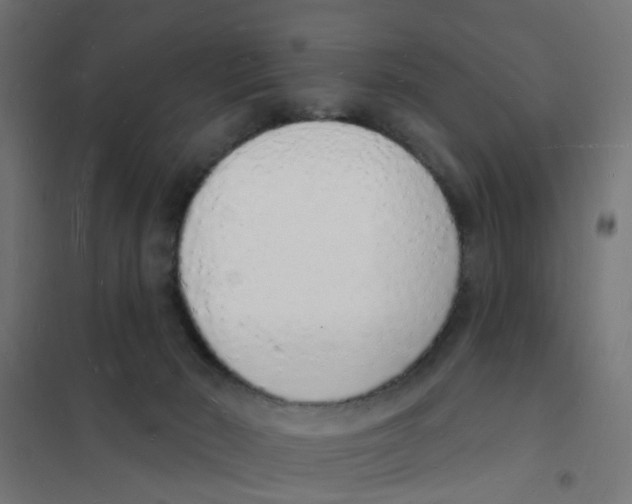 X0000101690030200808071145