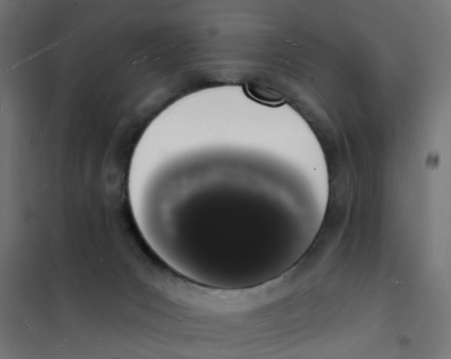 X0000101690031200808071145