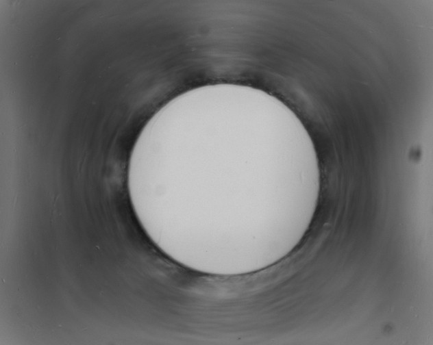 X0000101690033200808071145