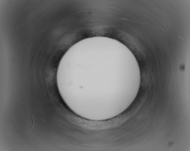 X0000101690034200808071145