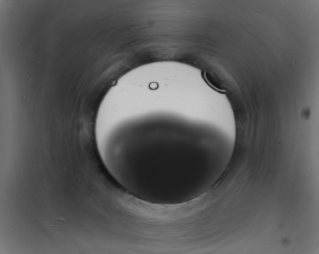 X0000101690035200808071145