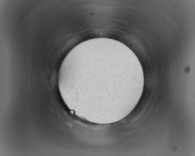 X0000101690036200808071145