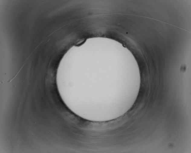 X0000101690037200808071145