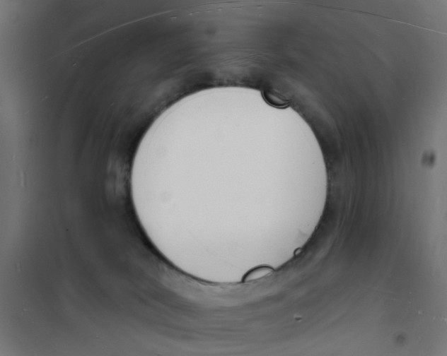 X0000101690038200808071145