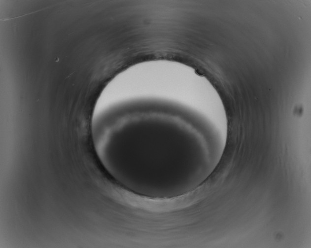 X0000101690039200808071145