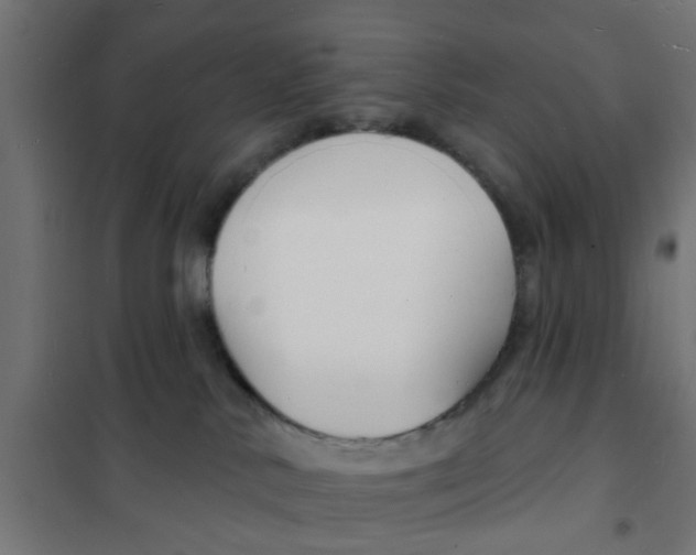 X0000101690042200808071145