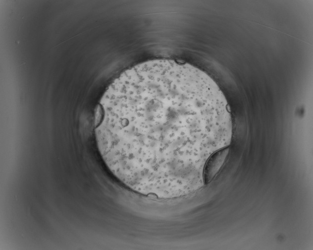 X0000101690043200808071145