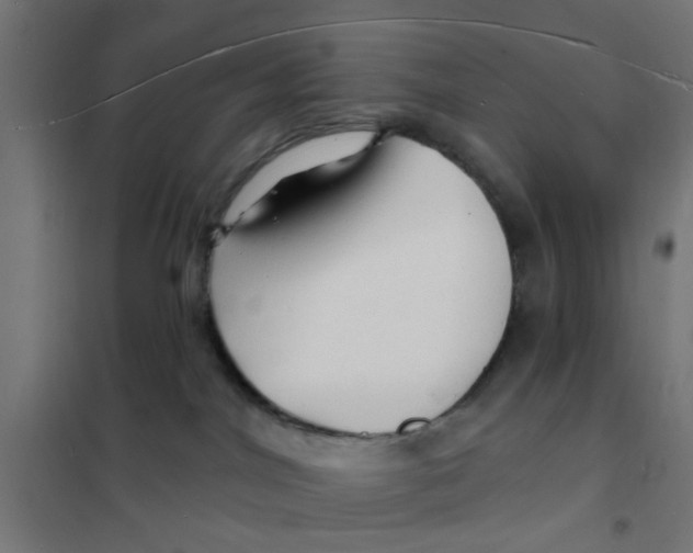 X0000101690044200808071145