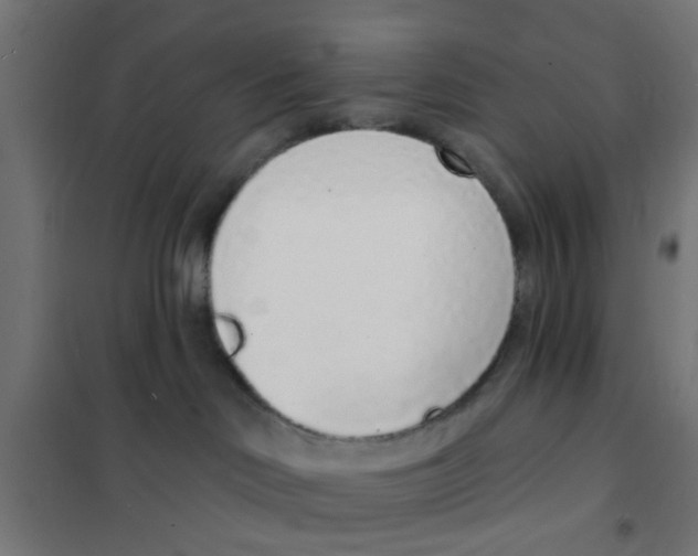 X0000101690046200808071145