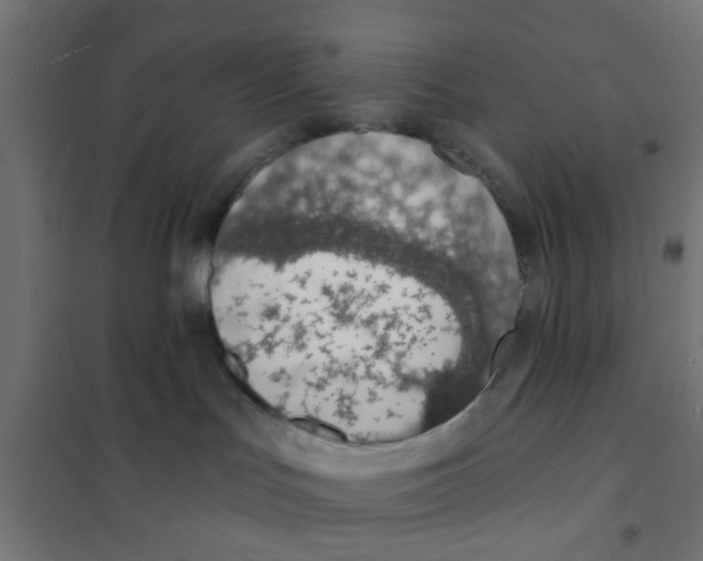 X0000101690047200808071145