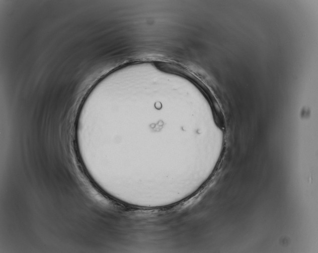 X0000101690049200808071144