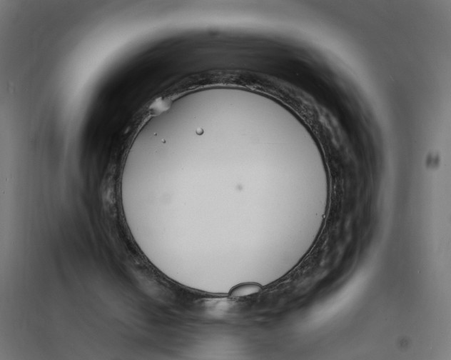 X0000101690050200808071144