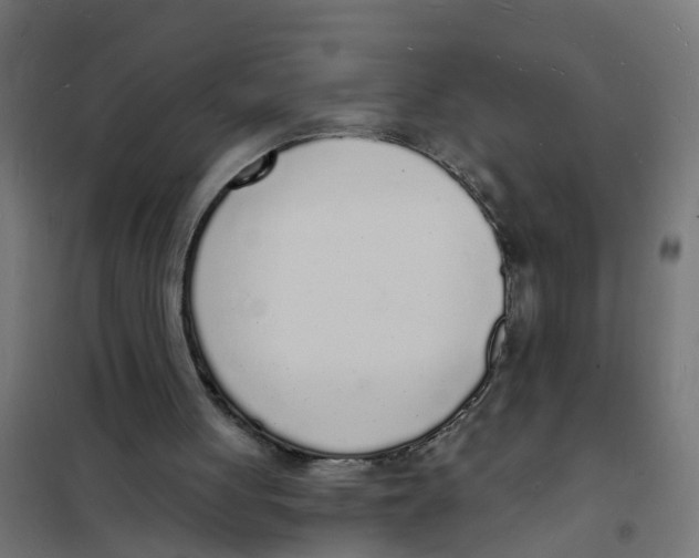 X0000101690051200808071144