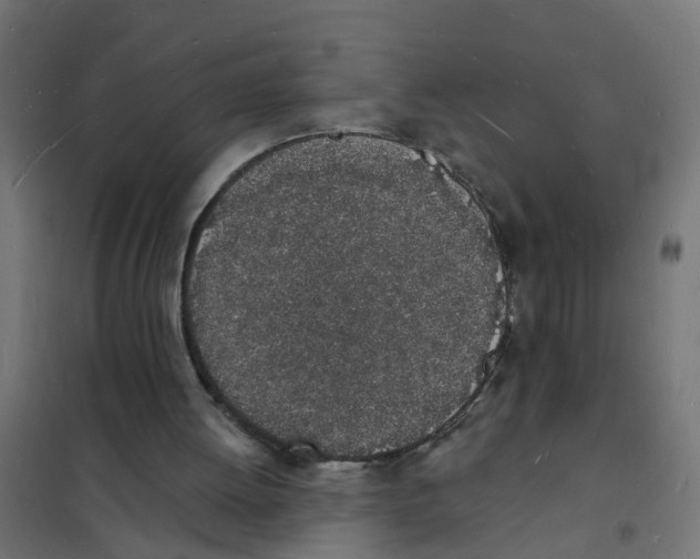 X0000101690052200808071144