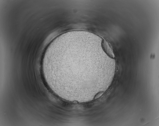 X0000101690053200808071144