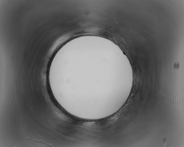 X0000101690054200808071144