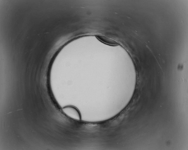 X0000101690055200808071144