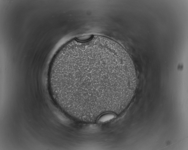 X0000101690056200808071144