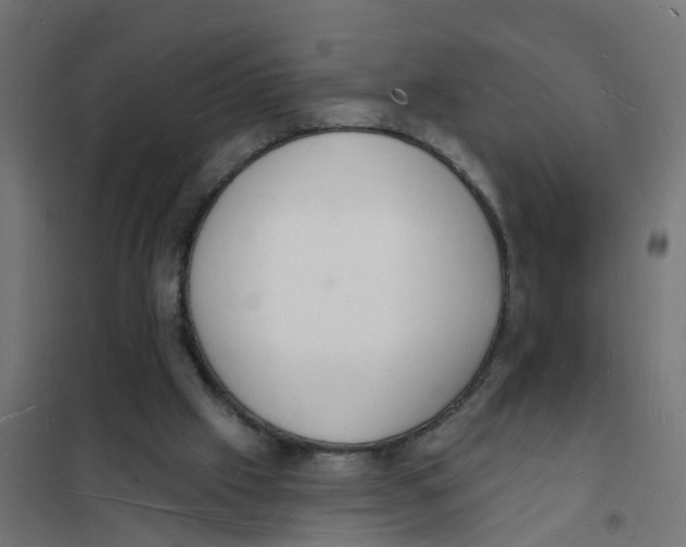 X0000101690057200808071144