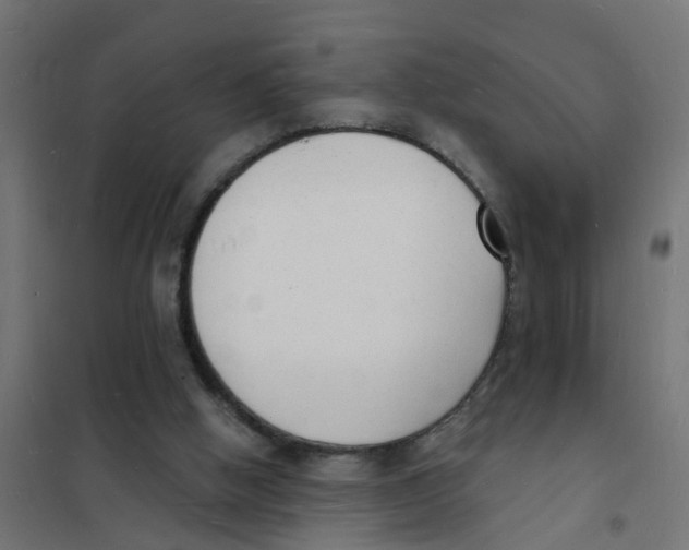 X0000101690058200808071144