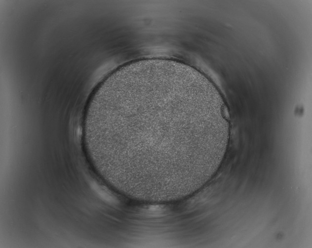 X0000101690059200808071144