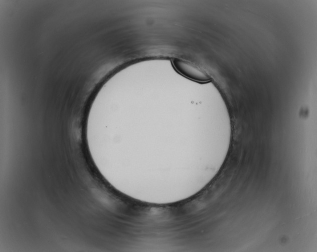 X0000101690060200808071144