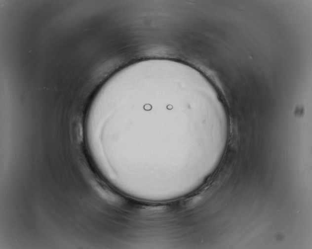 X0000101690061200808071144