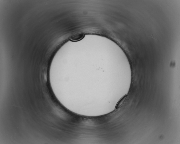 X0000101690062200808071144