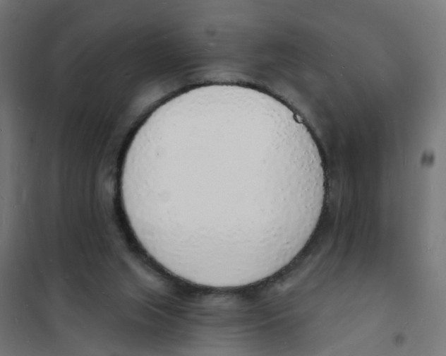 X0000101690063200808071144