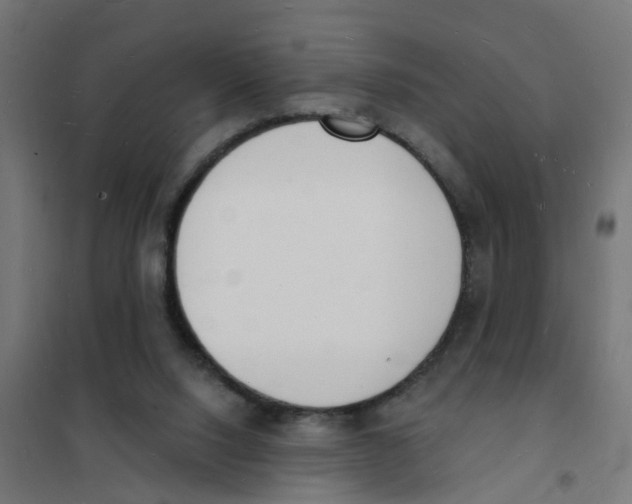 X0000101690064200808071144