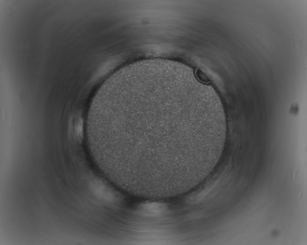 X0000101690067200808071144