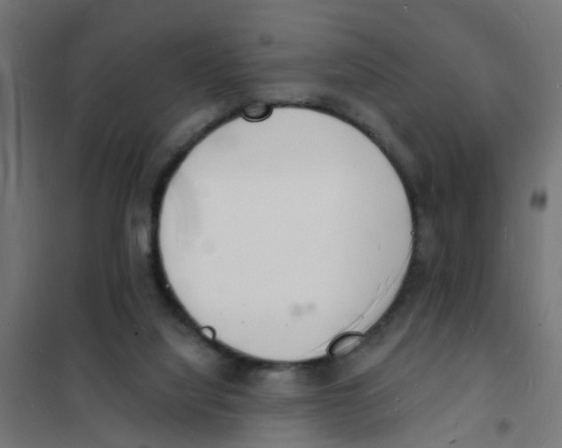 X0000101690068200808071144