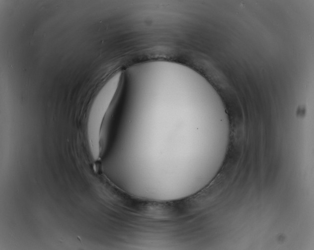 X0000101690070200808071144